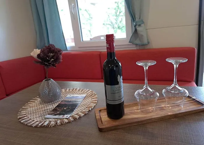 Boric Mobile Homes In Bijela Uvala And Zelena Laguna Kemping Poreč